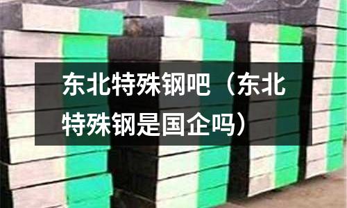 東北特殊鋼吧（東北特殊鋼是國企嗎）
