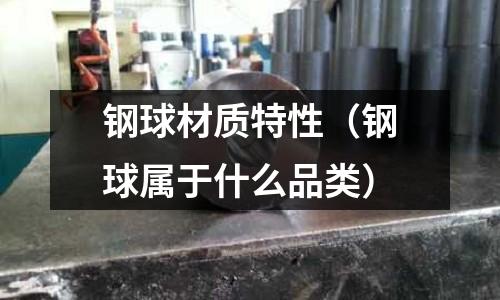 鋼球材質(zhì)特性（鋼球?qū)儆谑裁雌奉悾? /></a>
              </div>
              <div   id=