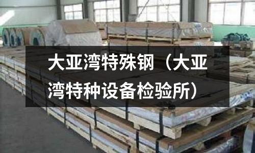 大亞灣特殊鋼(大亞灣特種設備檢驗所)