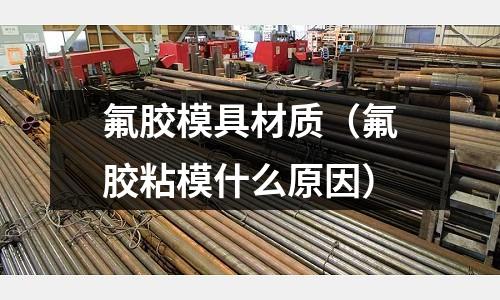 氟膠模具材質(氟膠粘模什么原因)