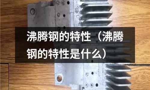 沸騰鋼的特性（沸騰鋼的特性是什么）