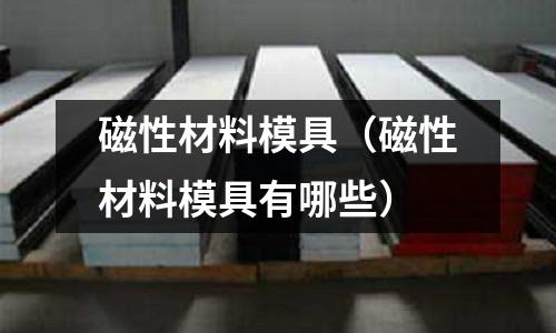 磁性材料模具（磁性材料模具有哪些）