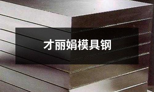 才麗娟模具鋼