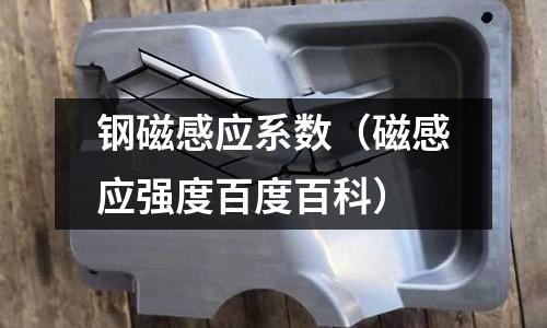 鋼磁感應系數（磁感應強度百度百科）