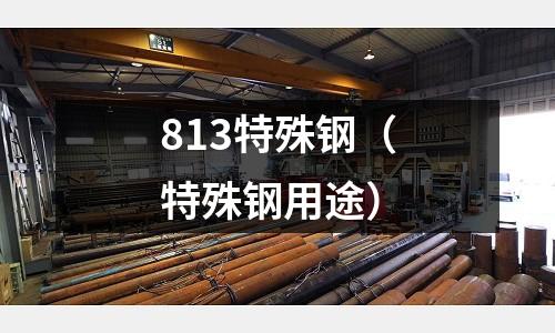 813特殊鋼（特殊鋼用途）