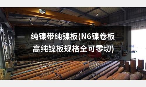 純鎳帶純鎳板(N6鎳卷板 高純鎳板規格全可零切)