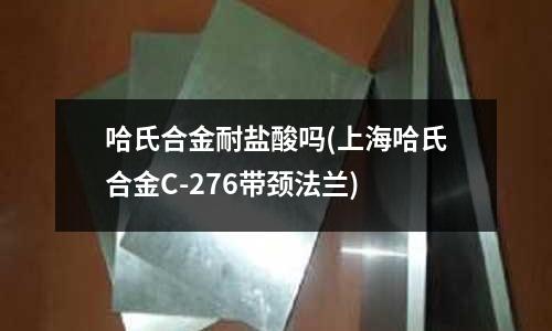 哈氏合金耐鹽酸嗎(上海哈氏合金C-276帶頸法蘭)