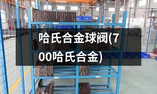 哈氏合金球閥(700哈氏合金)