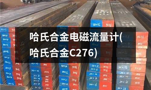 哈氏合金電磁流量計(哈氏合金C276)