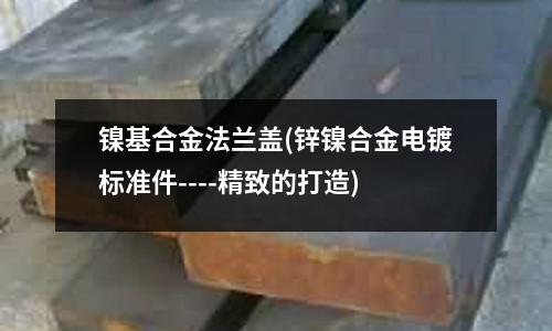 鎳基合金法蘭蓋(鋅鎳合金電鍍標準件----精致的打造)