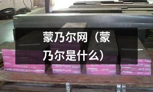 蒙乃爾網(wǎng)（蒙乃爾是什么）