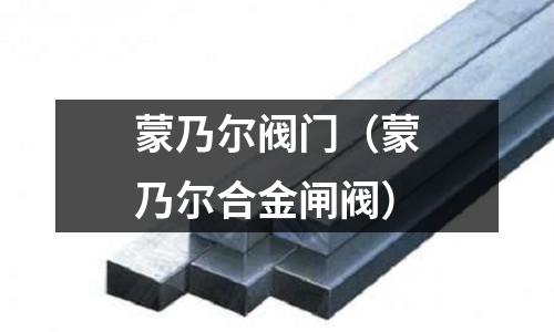 蒙乃爾閥門（蒙乃爾合金閘閥）