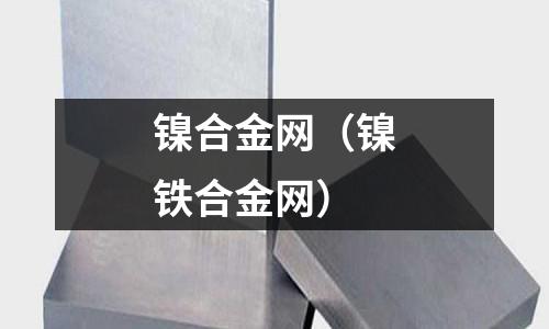鎳合金網（鎳鐵合金網）