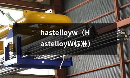 hastelloyw（HastelloyW標準）