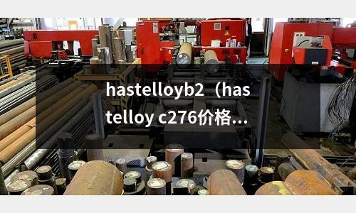 hastelloyb2（hastelloy c276價格）