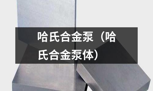 哈氏合金泵（哈氏合金泵體）