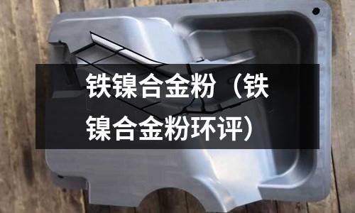 鐵鎳合金粉（鐵鎳合金粉環評）