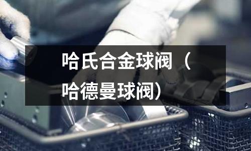 哈氏合金球閥（哈德曼球閥）