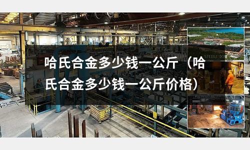 哈氏合金多少錢(qián)一公斤（哈氏合金多少錢(qián)一公斤價(jià)格）