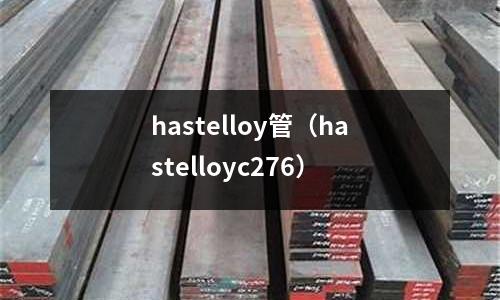 hastelloy管（hastelloyc276）