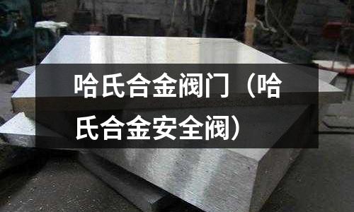 哈氏合金閥門（哈氏合金安全閥）