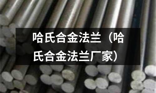 哈氏合金法蘭（哈氏合金法蘭廠家）