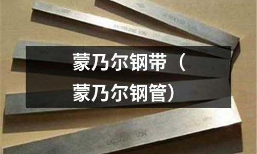 蒙乃爾鋼帶（蒙乃爾鋼管）