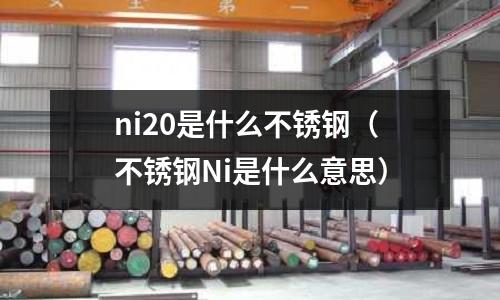 ni20是什么不銹鋼（不銹鋼Ni是什么意思）
