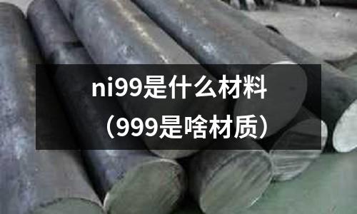 ni99是什么材料（999是啥材質）