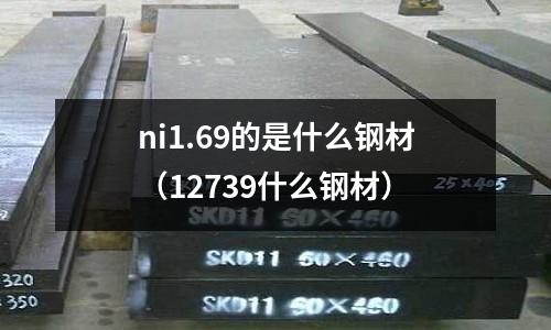 ni1.69的是什么鋼材（12739什么鋼材）