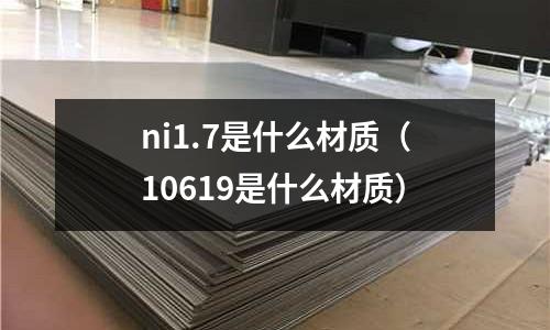 ni1.7是什么材質(10619是什么材質)
