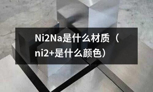 Ni2Na是什么材質（ni2+是什么顏色）