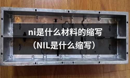 ni是什么材料的縮寫（NIL是什么縮寫）
