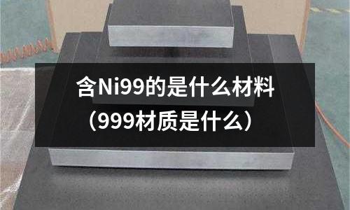 含Ni99的是什么材料（999材質(zhì)是什么）