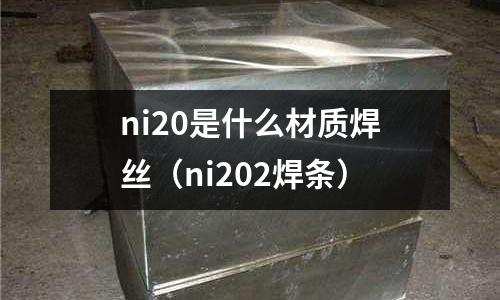 ni20是什么材質(zhì)焊絲（ni202焊條）
