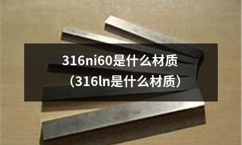 316ni60是什么材質（316ln是什么材質）