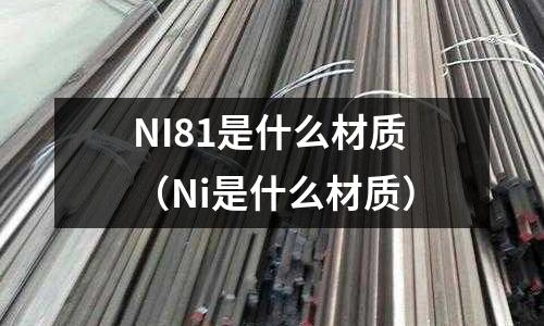 NI81是什么材質（Ni是什么材質）