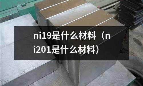 ni19是什么材料（ni201是什么材料）