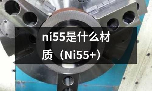 ni55是什么材質（Ni55+）