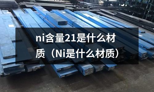 ni含量21是什么材質(zhì)（Ni是什么材質(zhì)）