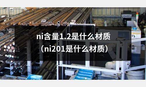 ni含量1.2是什么材質（ni201是什么材質）