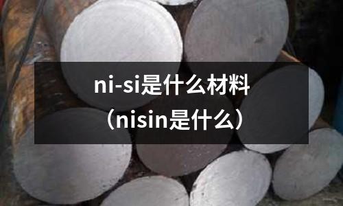 ni-si是什么材料（nisin是什么）