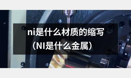 ni是什么材質的縮寫（NI是什么金屬）