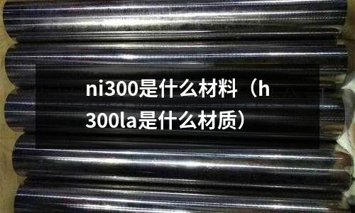ni300是什么材料（h300la是什么材質）