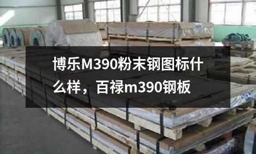 博樂M390粉末鋼圖標什么樣，百祿m390鋼板