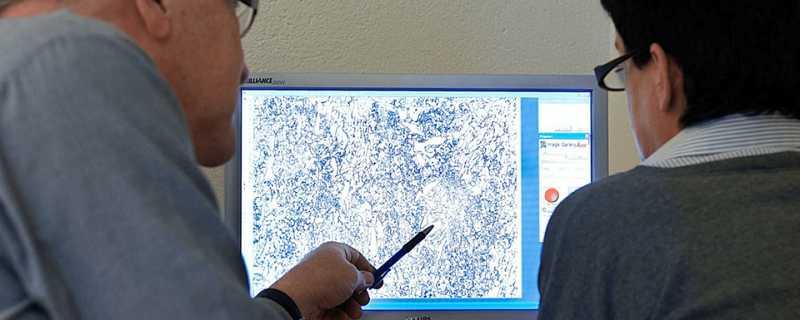 HS6-5-4是什么材料(HS6-5-4高速鋼)